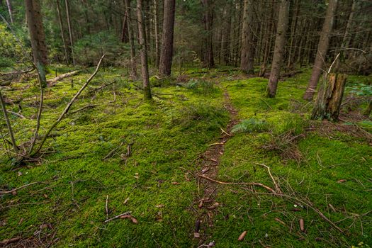 Fantastic hike in the Schrecksee nature reserve in Upper Swabia Germany