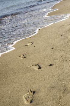 foot steps in sand on the Baltic Sea beach