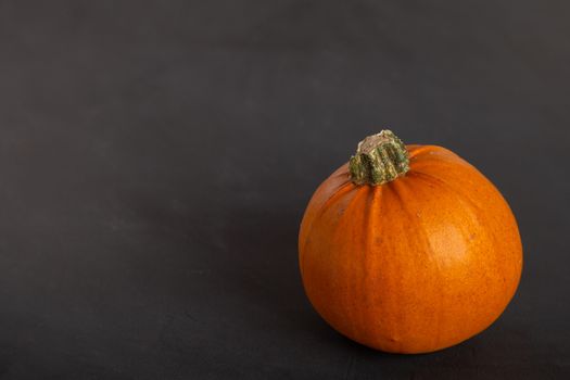 Colored beautiful pumpkin lies on a wooden background.