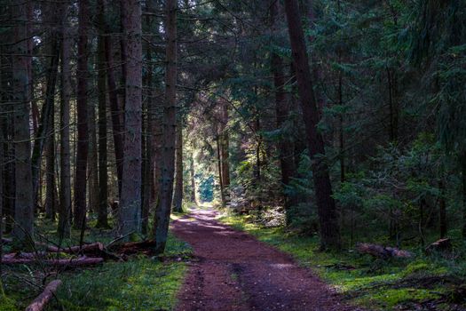 Fantastic hike in the Schrecksee nature reserve in Upper Swabia Germany