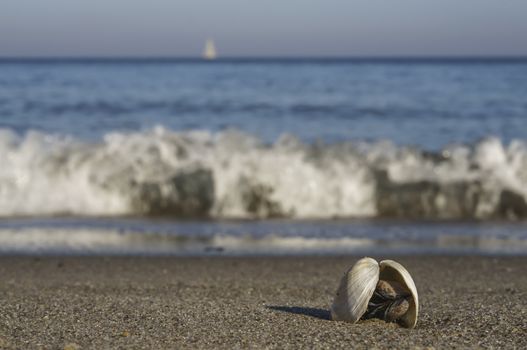 Waves on the Baltic Sea beach