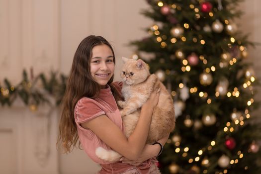 The girl spends the Christmas holidays with her cat.