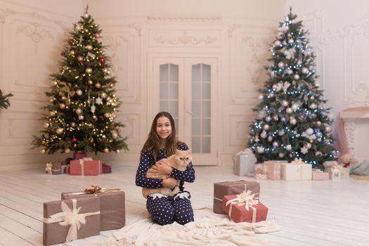 The girl spends the Christmas holidays with her cat.