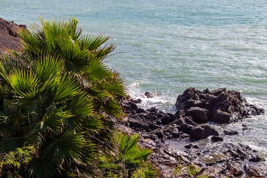 View at the coastline of El Cotillo on canary island Fuerteventura, Spain