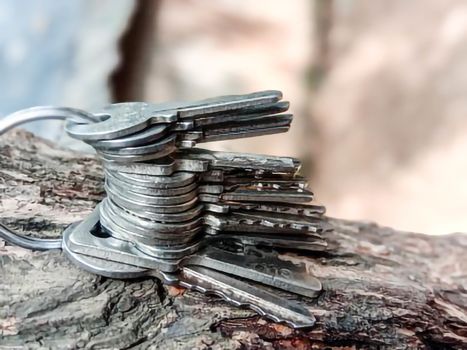key stock with ring with tree for house