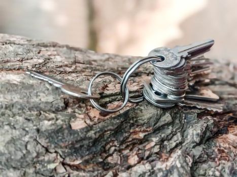 key stock with ring with tree for house