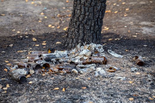 burned pile of trash under tree in forest - close-up with selective focus