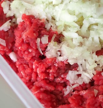 minced meat and onions, minced meat and raw onions,