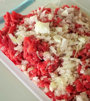 minced meat and onions, minced meat and raw onions,