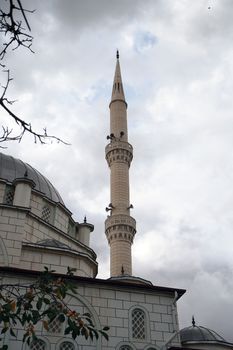 turkey in the neighborhood of a neighborhood mosque, minaret and long-domed mosque,