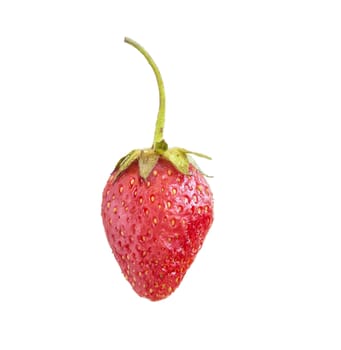 Ripe red strawberry berry on white background, close-up