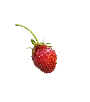 Ripe red strawberry berry on white background, close-up