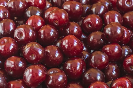 The fruits of red berries ripe cherries close-up