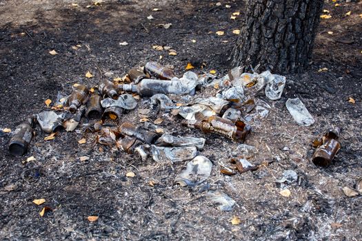 burned pile of trash under tree in forest - close-up with selective focus