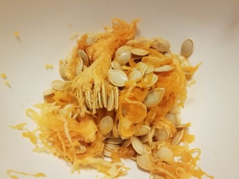 pumpkin seeds and orange pulp in white container