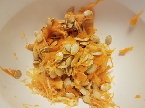 pumpkin seeds and orange pulp in white container