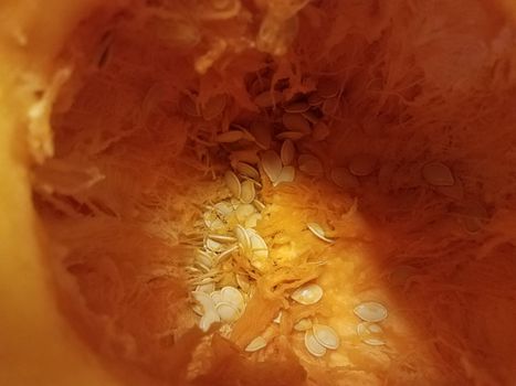 orange inside of a pumpkin or squash with seeds