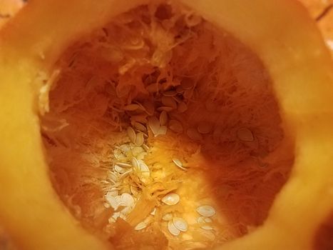 orange inside of a pumpkin or squash with seeds