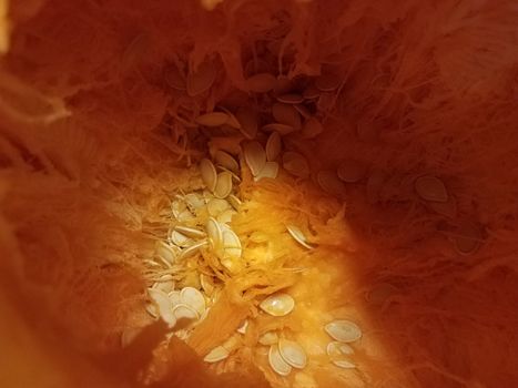 orange inside of a pumpkin or squash with seeds