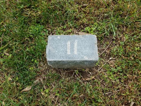 grey stone with number eleven in green grass