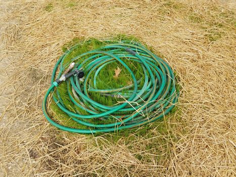 green garden hose on grass and straw or hay