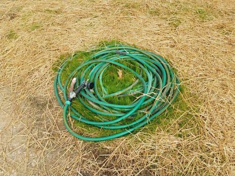 green garden hose on grass and straw or hay