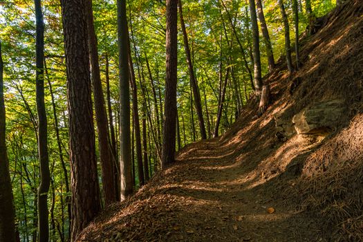 Leisurely hike at the golden hour to the famous Heidenhoehlen near Stockach on Lake Constance