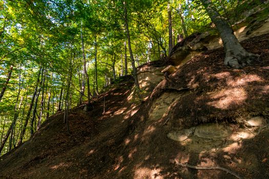 Leisurely hike at the golden hour to the famous Heidenhoehlen near Stockach on Lake Constance