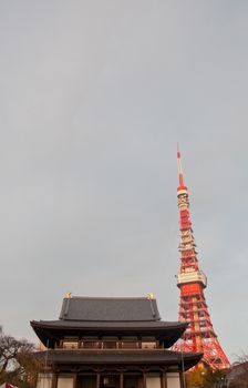 TOKYO, JAPAN - DECEMBER 1, 2018: Zojo-ji Buddhist temple. This is a famous temple which has the oldest wooden main gate in Tokyo built from 1622. There is Tokyo Tower near the temple. There are beautiful yellow leaves trees park in front of the temple.