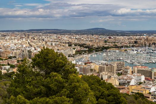 Panoramic view at the harbor of Palma on balearic island Mallorca, Spain on a sunny day