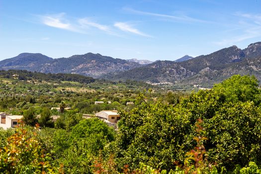 Landscape around the village Campanet in the north of Mallorca