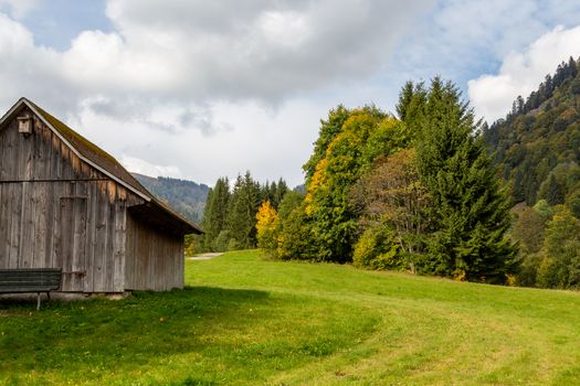 Landscape with wooden cottage, green meadow, multi colored trees, mountain range with forest and blue sky with clouds  nearby Menzenschwand, Black Forest, Germany