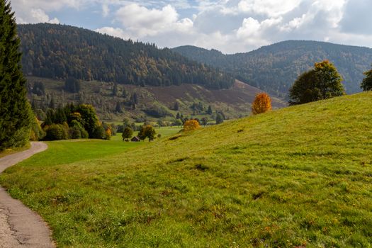 Landscape with green meadow, multi colored trees, mountain range with forest nearby Menzenschwand, Black Forest, Germany
