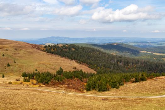 Scenic view from Feldberg tower at landscape of Black Forest, Germany in autumn 