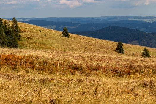 Landscape on the summit of the Feldberg, Black Forest, Germany