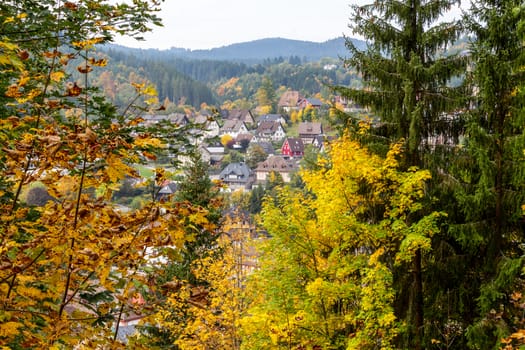 Wide angle view at St. Blasien in the Black Forest, Germany