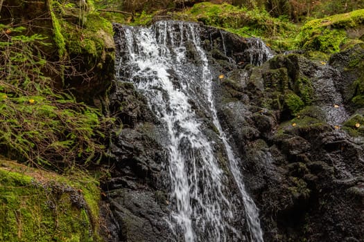 Stream and waterfall along a trail nearby St. Blasien, Black Forest