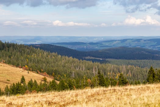 Scenic view from Feldberg tower at landscape of Black Forest, Germany in autumn 