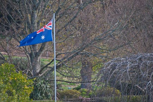 Australian national flag in middle of forest