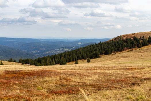 Landscape on the summit of the Feldberg, Black Forest, Germany