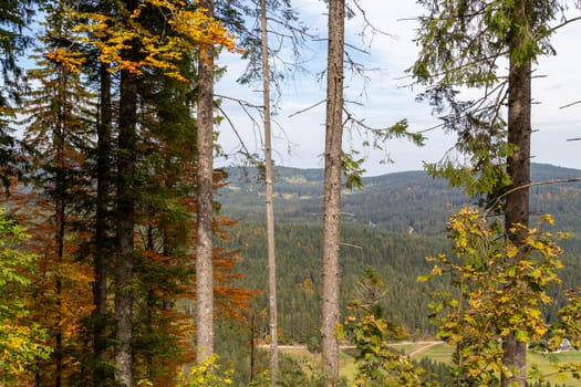 Scenic view at landscape nearby the mountain Feldberg, Black Forest in autumn with multi colored trees