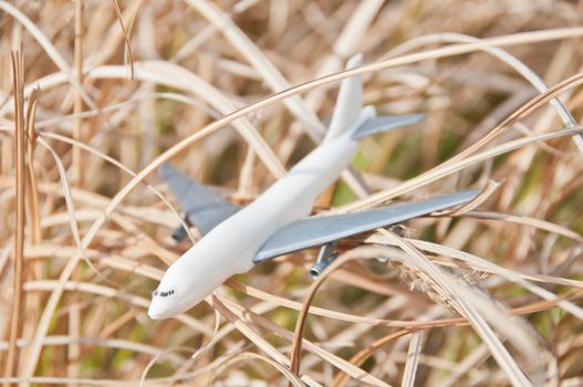 Toy model of white plastic plane in natural golden field of dried rice staple plants