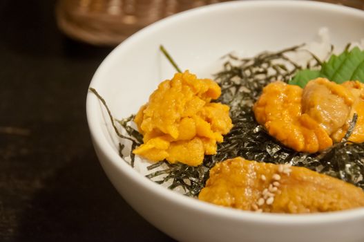 Premium supreme delicious fresh from the sea 3 types of uni sea urchin sashimi from Tokyo, Mexico, Canada on top of warm steamed rice with crispy grilled seaweed.