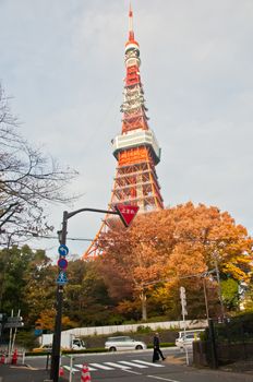 TOKYO, JAPAN - DECEMBER 1, 2018: Famous Tokyo Tower situates in the central Tokyo in the morning. The tower is a communications and observation tower with around 330 metres tall and was built in 1958. There is a man walks on the street.