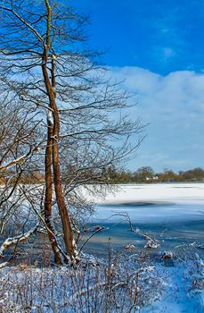 Beautiful winter shot at a lake and forest with snow and ice