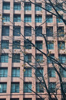 High-rise brown brick tall corporate business office building with dried leave tree in front of the building