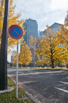 Traffic sign of No Parking and Golden leaves foliage gingko Maidenhair trees in front of high-rise corporate office buildings in late Autumn in Tokyo Japan