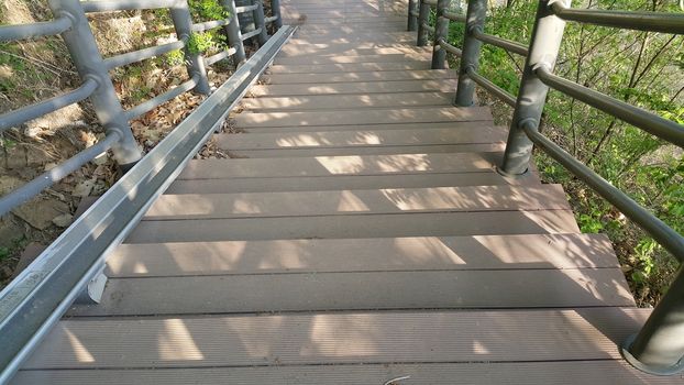 Wooden stairs with handrails on both sides in a park.