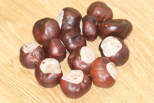 Chestnut and chestnut pod with spines on a wooden floor. Close-Up of dried Chestnut fruits over wooden background.