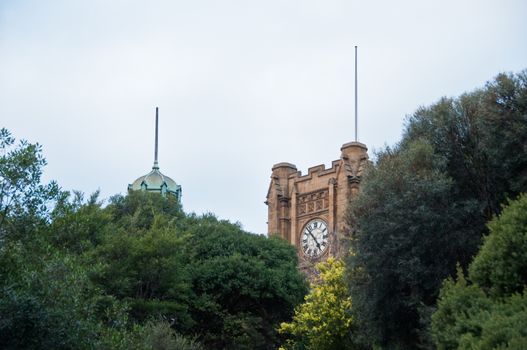 Classic sandstone clock tower in a forest